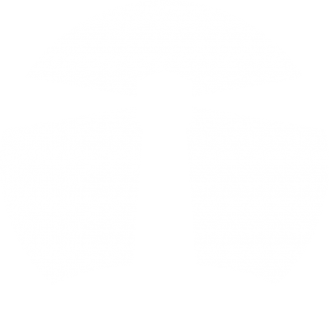 lighthouse api logo