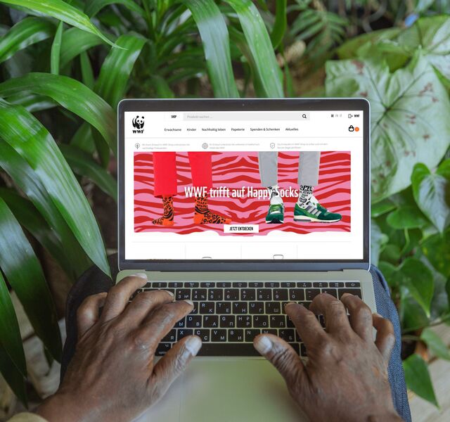WWF Shop Frontpage on Computer before plants