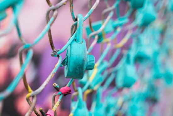padlock on a mesh