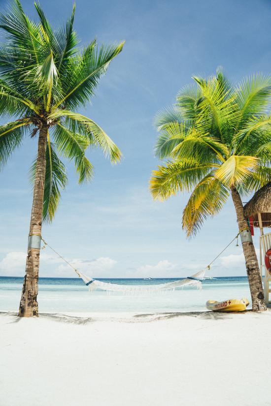 hammock tied to coconut trees