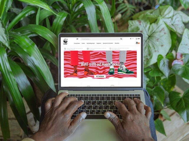 WWF Shop Frontpage on Computer before plants