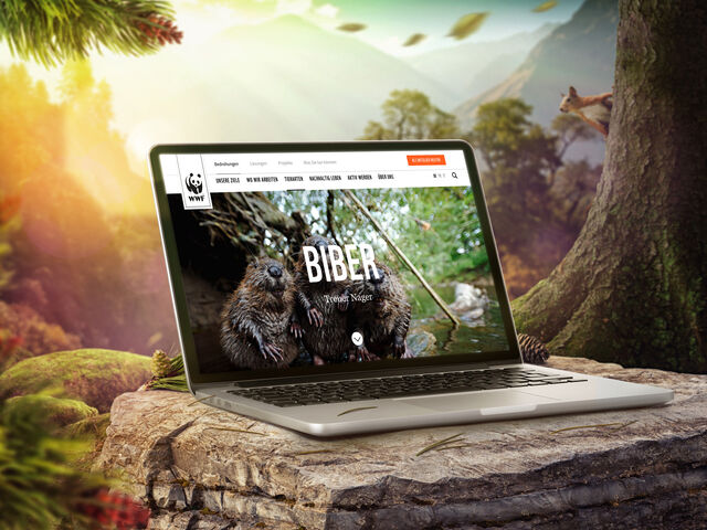 WWF.ch laptop in the woods