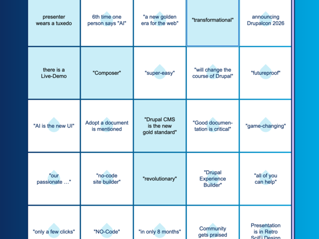 screenshot showing drupal bingo